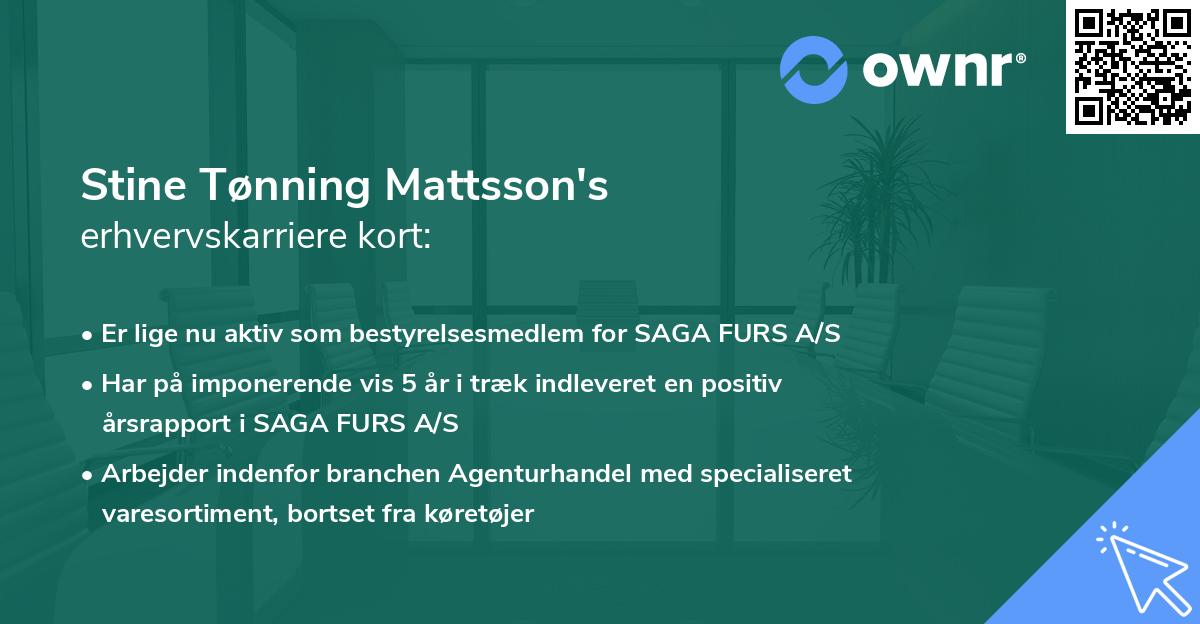 Stine Tønning Mattsson's erhvervskarriere kort