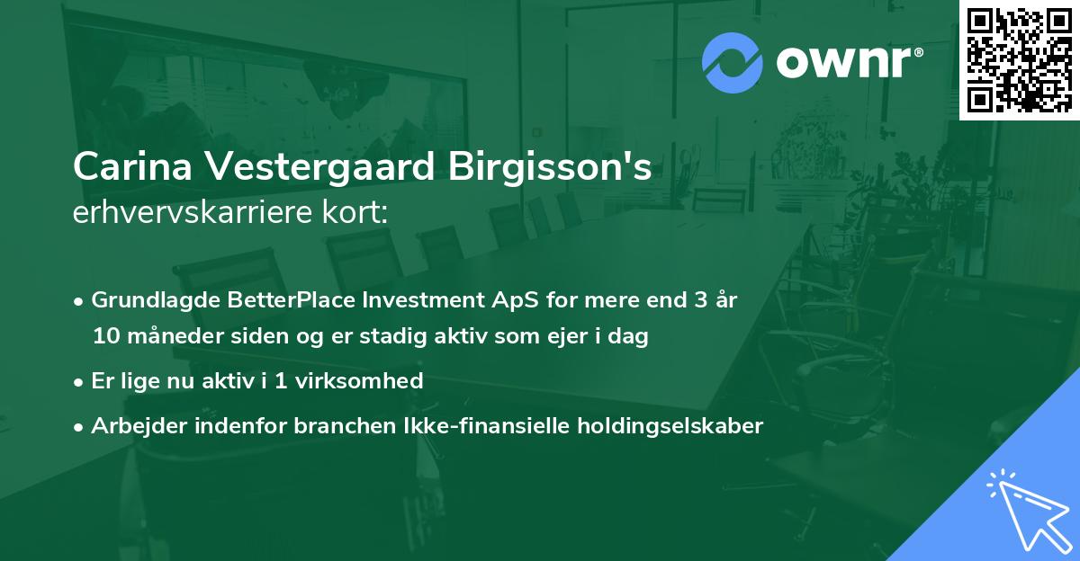 Carina Vestergaard Birgisson's erhvervskarriere kort