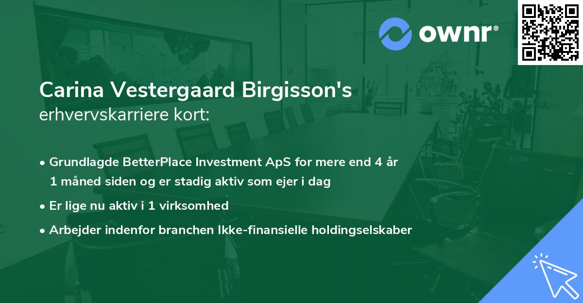 Carina Vestergaard Birgisson's erhvervskarriere kort