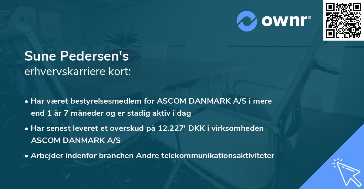 Sune Pedersen's erhvervskarriere kort