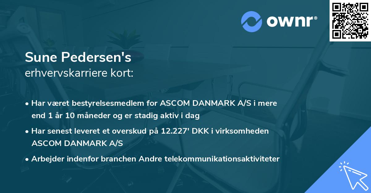 Sune Pedersen's erhvervskarriere kort