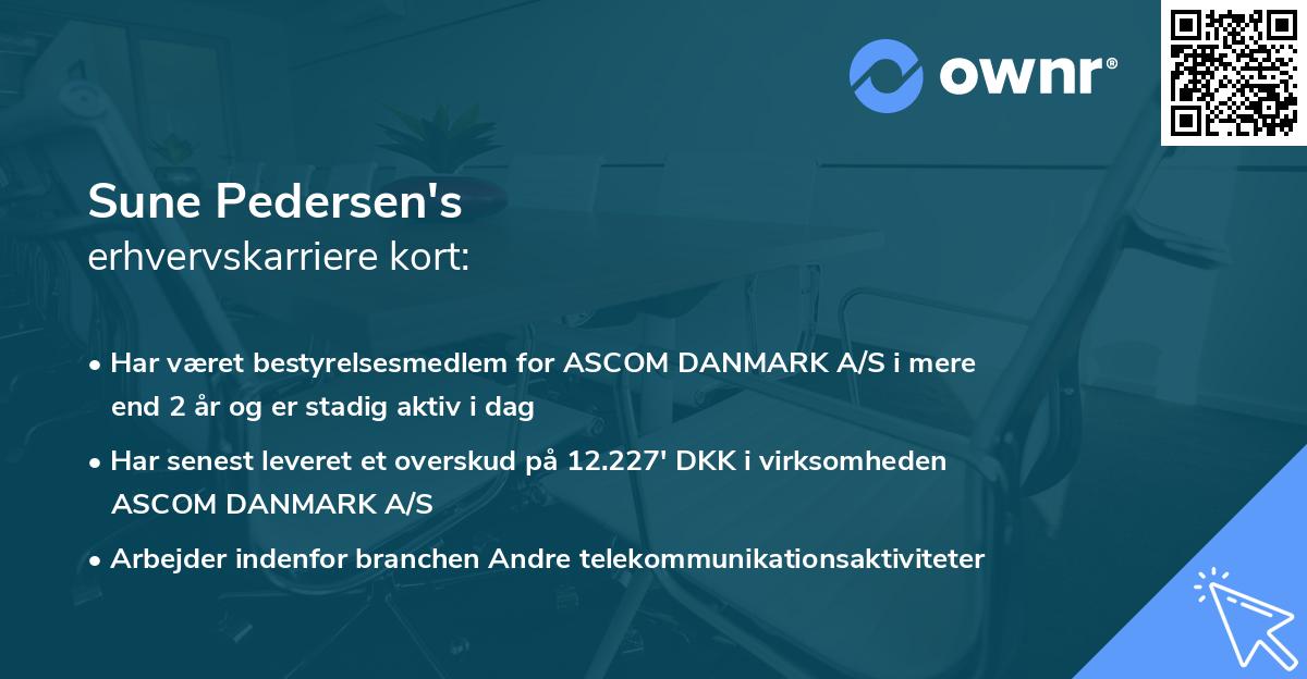 Sune Pedersen's erhvervskarriere kort