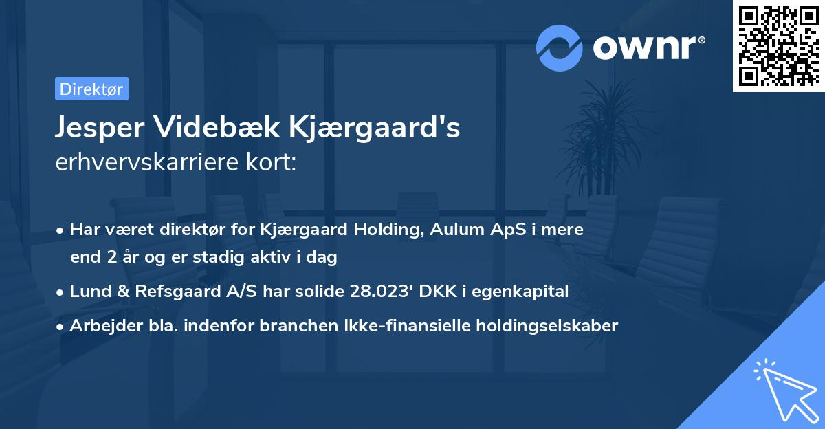 Jesper Videbæk Kjærgaard's erhvervskarriere kort