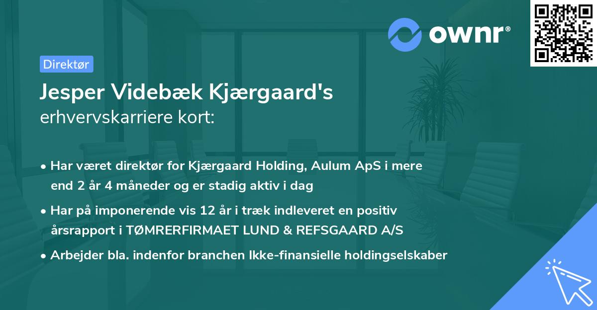 Jesper Videbæk Kjærgaard's erhvervskarriere kort