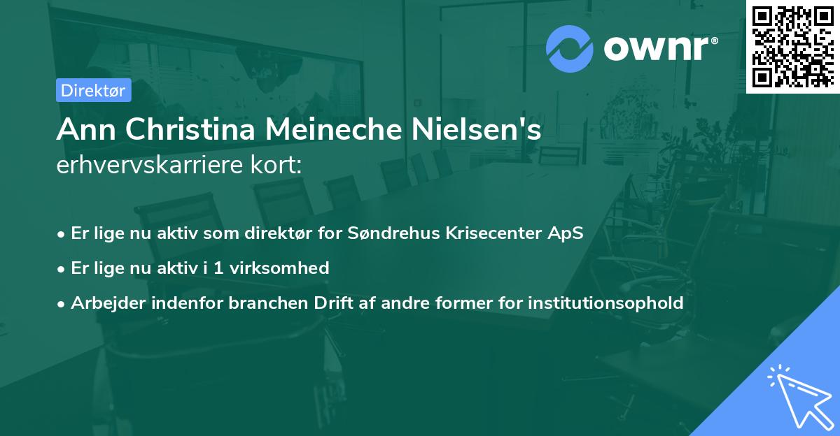Ann Christina Meineche Nielsen's erhvervskarriere kort