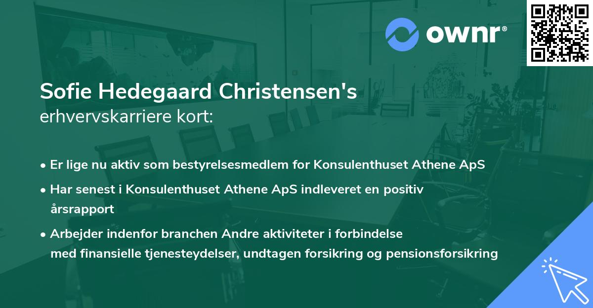 Sofie Hedegaard Christensen's erhvervskarriere kort