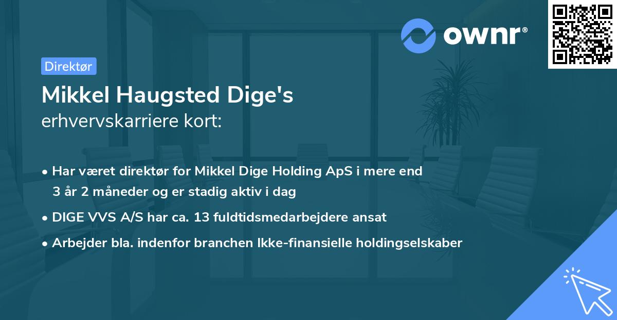 Mikkel Haugsted Dige's erhvervskarriere kort