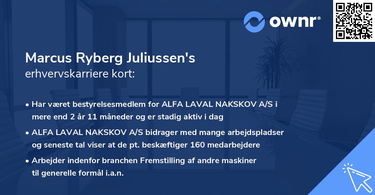Marcus Ryberg Juliussen's erhvervskarriere kort