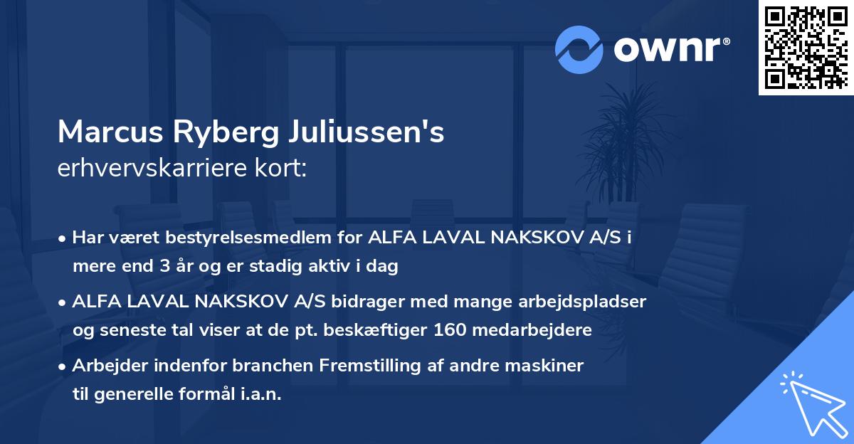 Marcus Ryberg Juliussen's erhvervskarriere kort