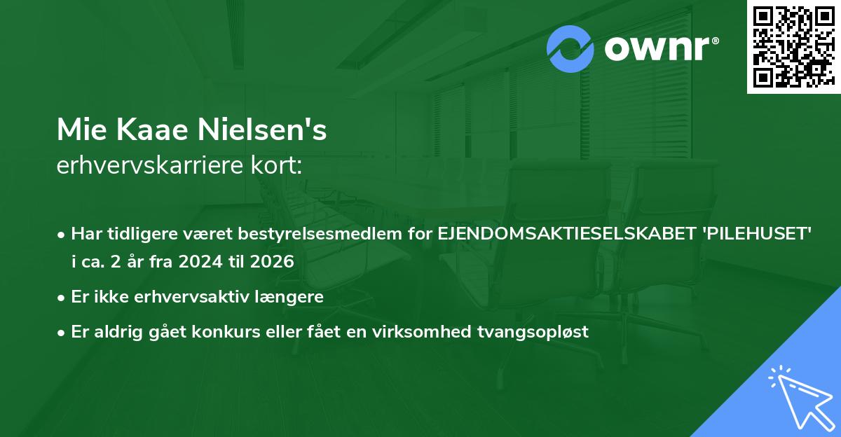 Mie Kaae Nielsen's erhvervskarriere kort