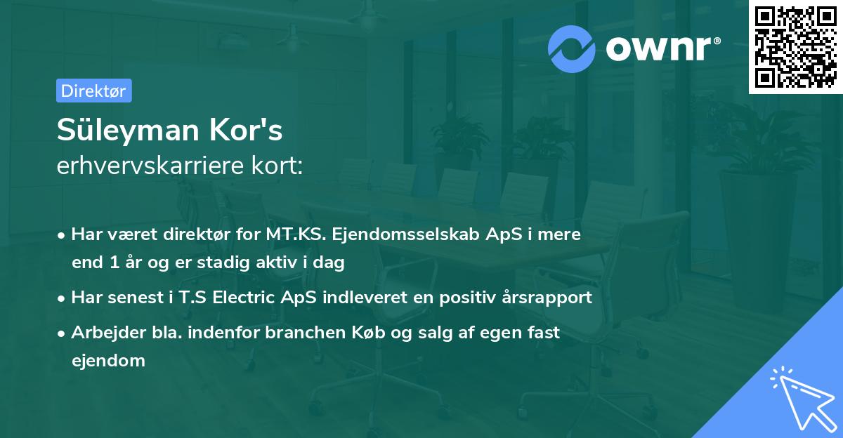 Süleyman Kor's erhvervskarriere kort