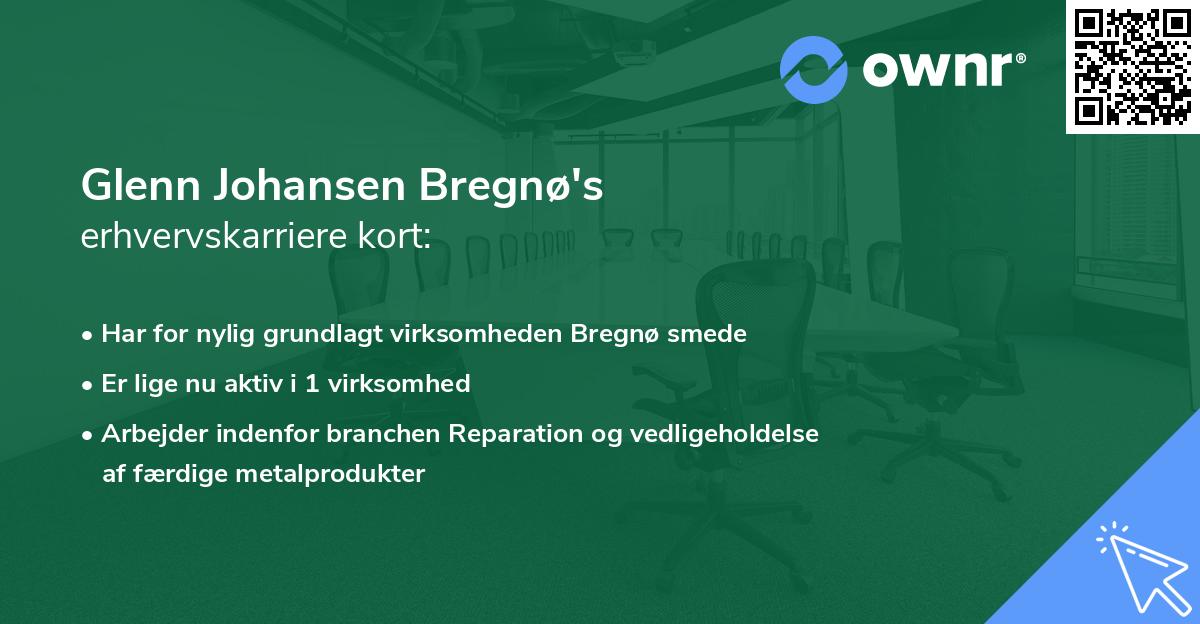 Glenn Johansen Bregnø's erhvervskarriere kort
