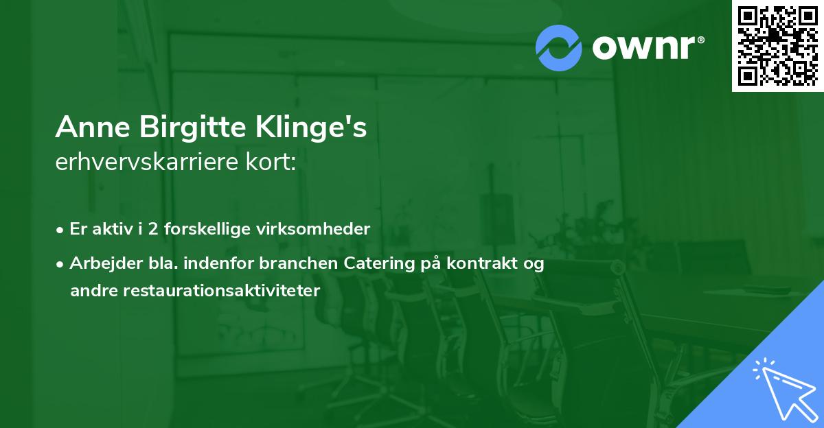 Anne Birgitte Klinge's erhvervskarriere kort