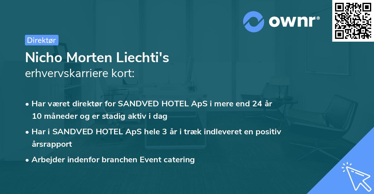 Nicho Morten Liechti's erhvervskarriere kort
