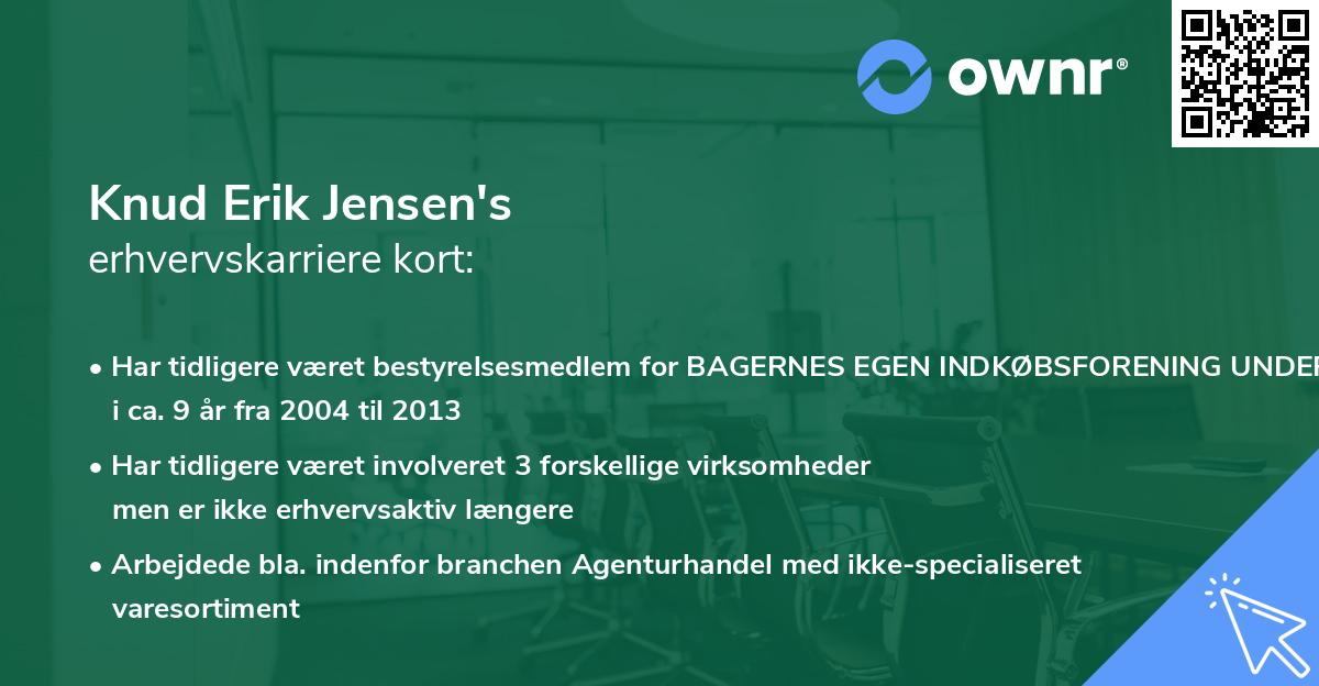 Knud Erik Jensen's erhvervskarriere kort