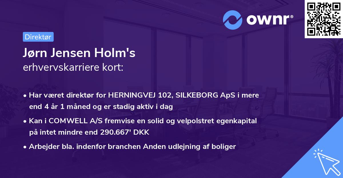 Jørn Jensen Holm's erhvervskarriere kort