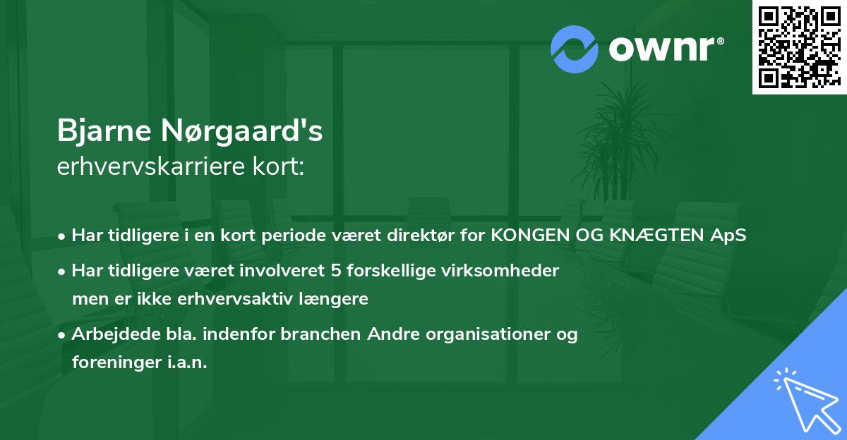 Bjarne Nørgaard's erhvervskarriere kort