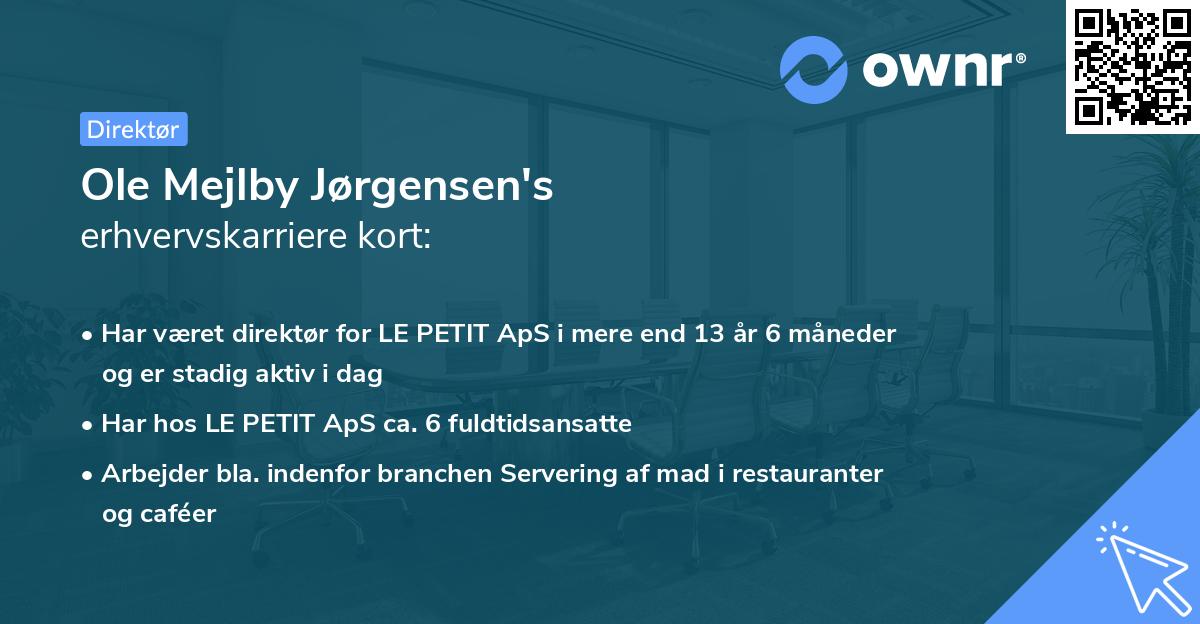 Ole Mejlby Jørgensen's erhvervskarriere kort