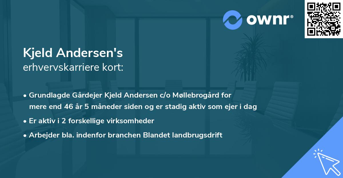 Kjeld Andersen's erhvervskarriere kort