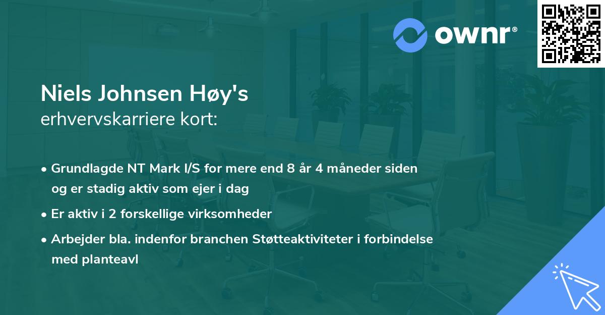 Niels Johnsen Høy's erhvervskarriere kort
