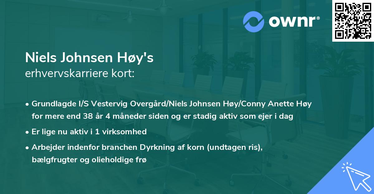 Niels Johnsen Høy's erhvervskarriere kort