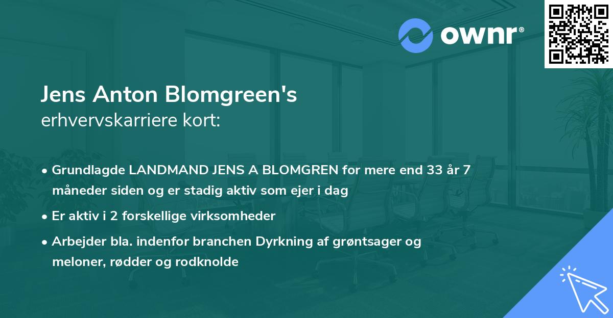 Jens Anton Blomgreen's erhvervskarriere kort