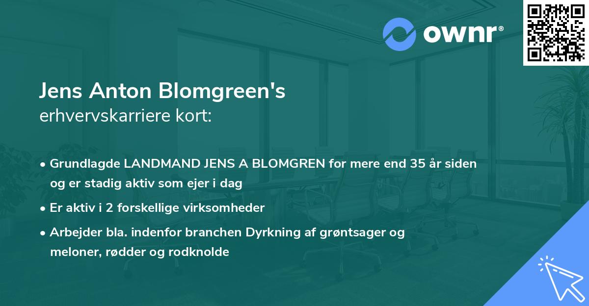 Jens Anton Blomgreen's erhvervskarriere kort