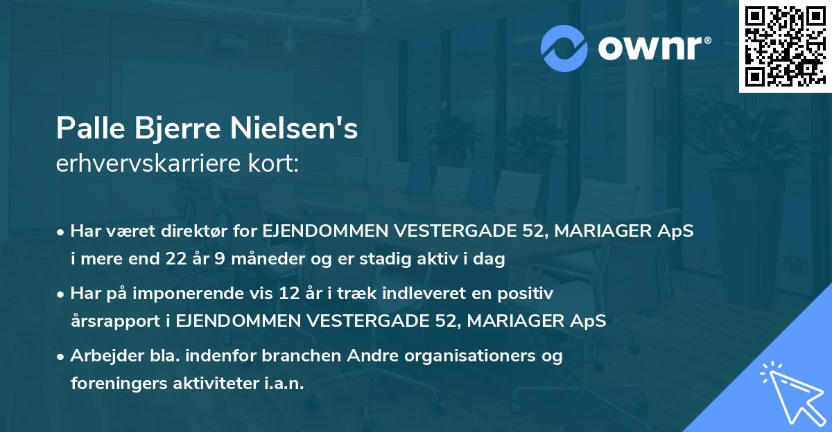 Palle Bjerre Nielsen's erhvervskarriere kort