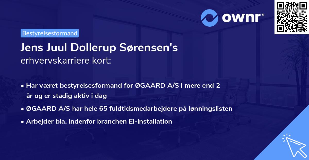 Jens Juul Dollerup Sørensen's erhvervskarriere kort