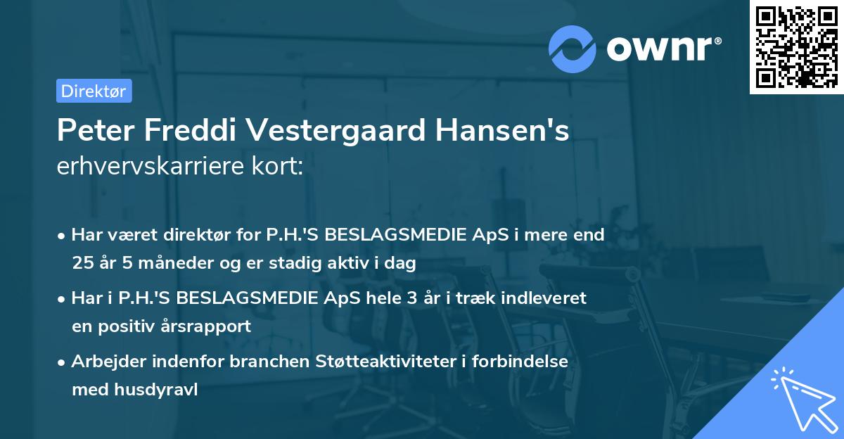 Peter Freddi Vestergaard Hansen's erhvervskarriere kort