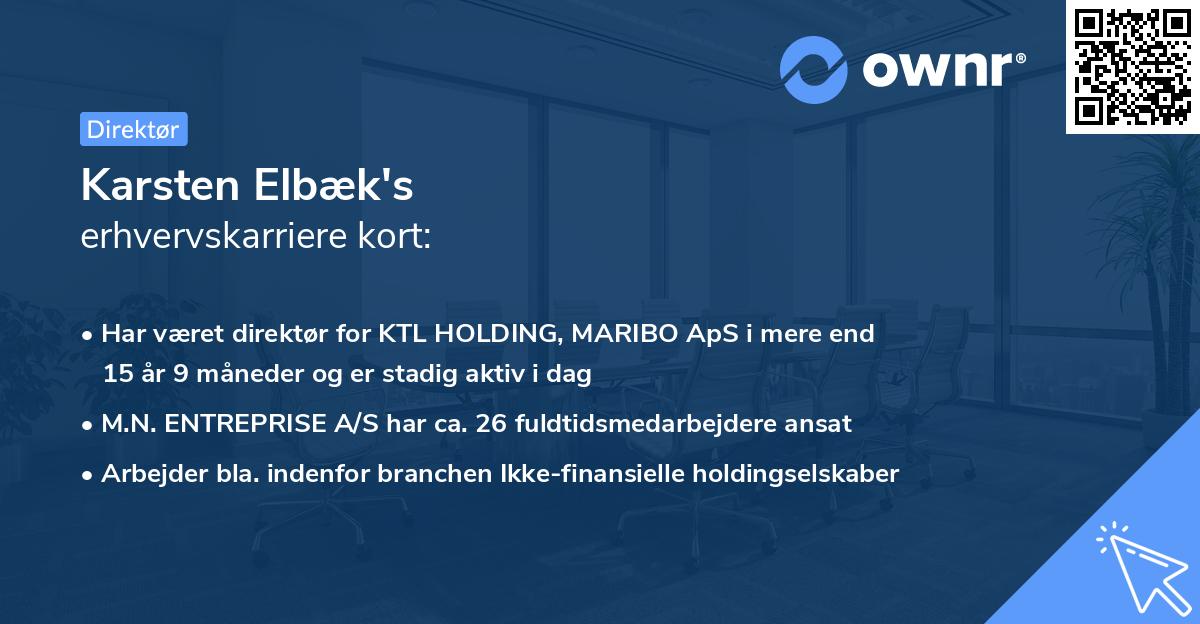 Karsten Elbæk's erhvervskarriere kort