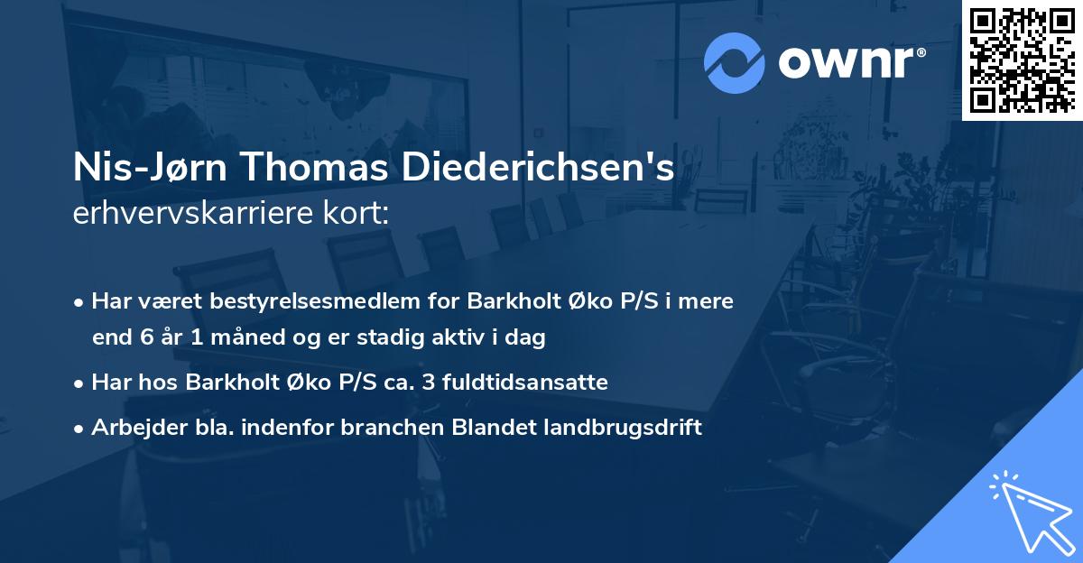 Nis-Jørn Thomas Diederichsen's erhvervskarriere kort