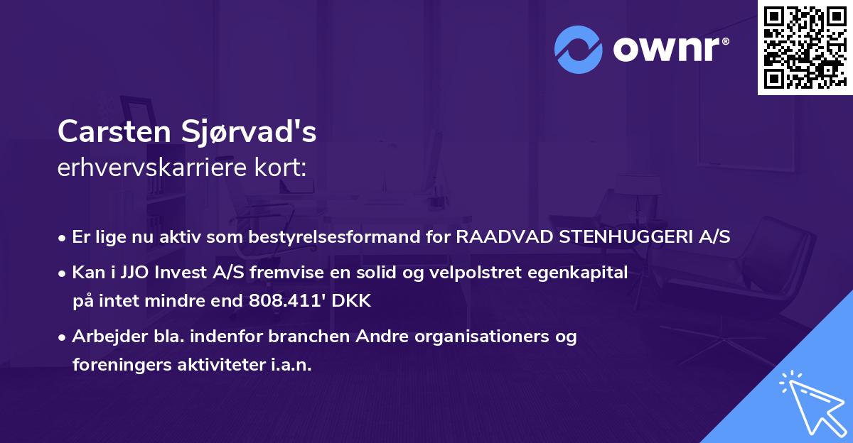 Carsten Sjørvad's erhvervskarriere kort