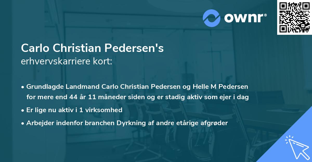 Carlo Christian Pedersen's erhvervskarriere kort