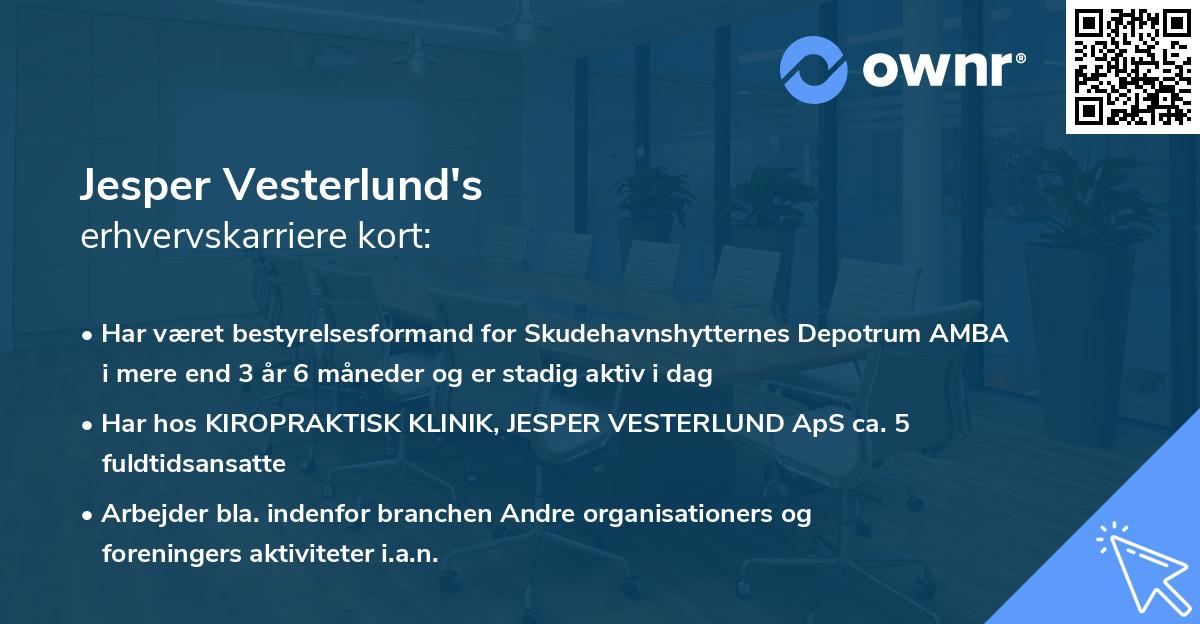 Jesper Vesterlund's erhvervskarriere kort