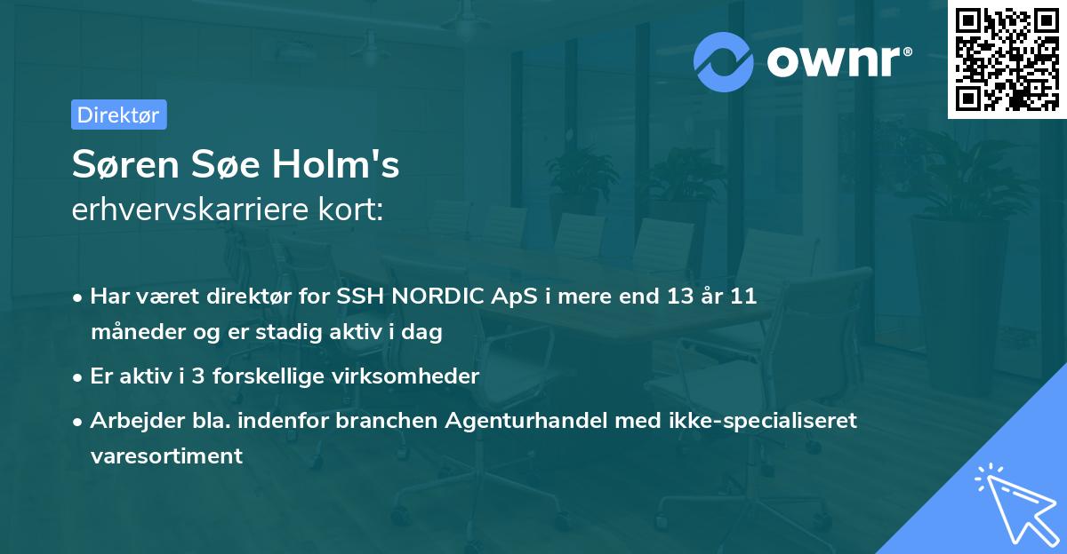 Søren Søe Holm's erhvervskarriere kort