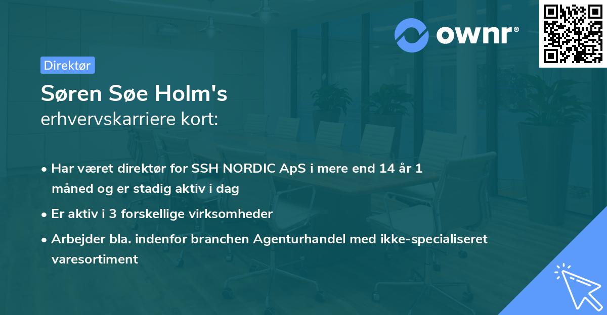 Søren Søe Holm's erhvervskarriere kort