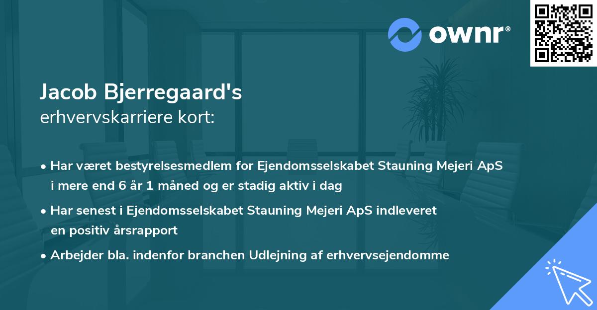 Jacob Bjerregaard's erhvervskarriere kort