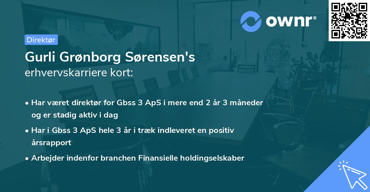 Gurli Grønborg Sørensen's erhvervskarriere kort