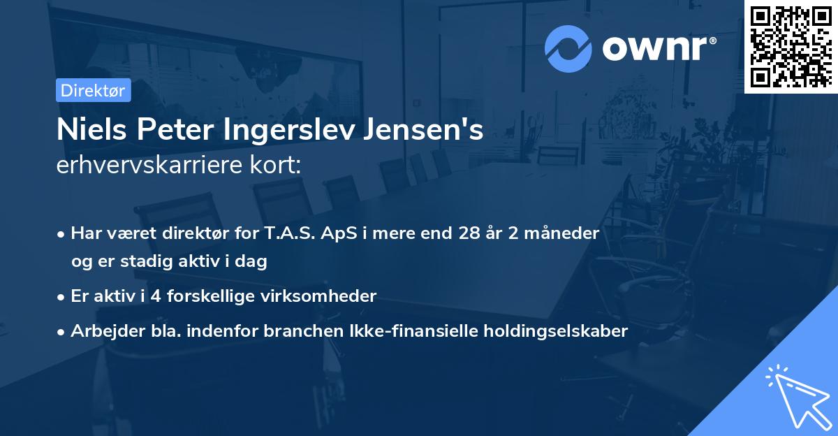 Niels Peter Ingerslev Jensen's erhvervskarriere kort