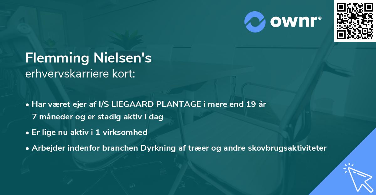 Flemming Nielsen's erhvervskarriere kort
