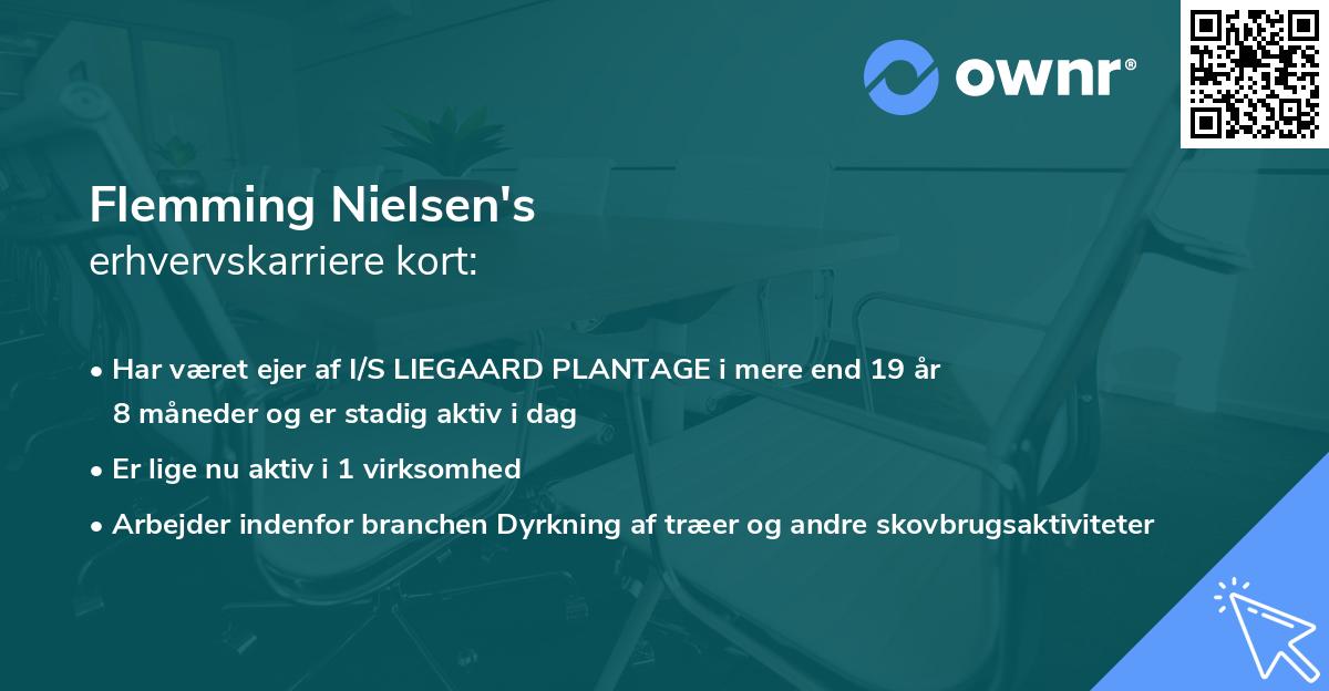 Flemming Nielsen's erhvervskarriere kort