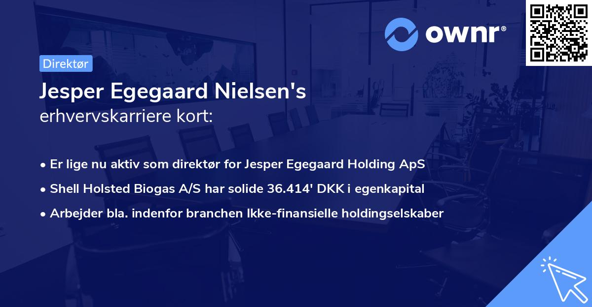 Jesper Egegaard Nielsen's erhvervskarriere kort