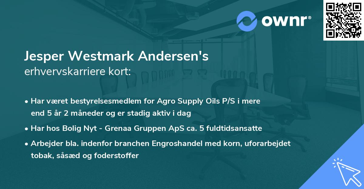 Jesper Westmark Andersen's erhvervskarriere kort
