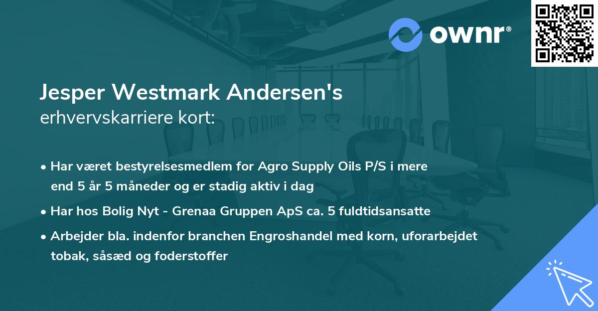 Jesper Westmark Andersen's erhvervskarriere kort