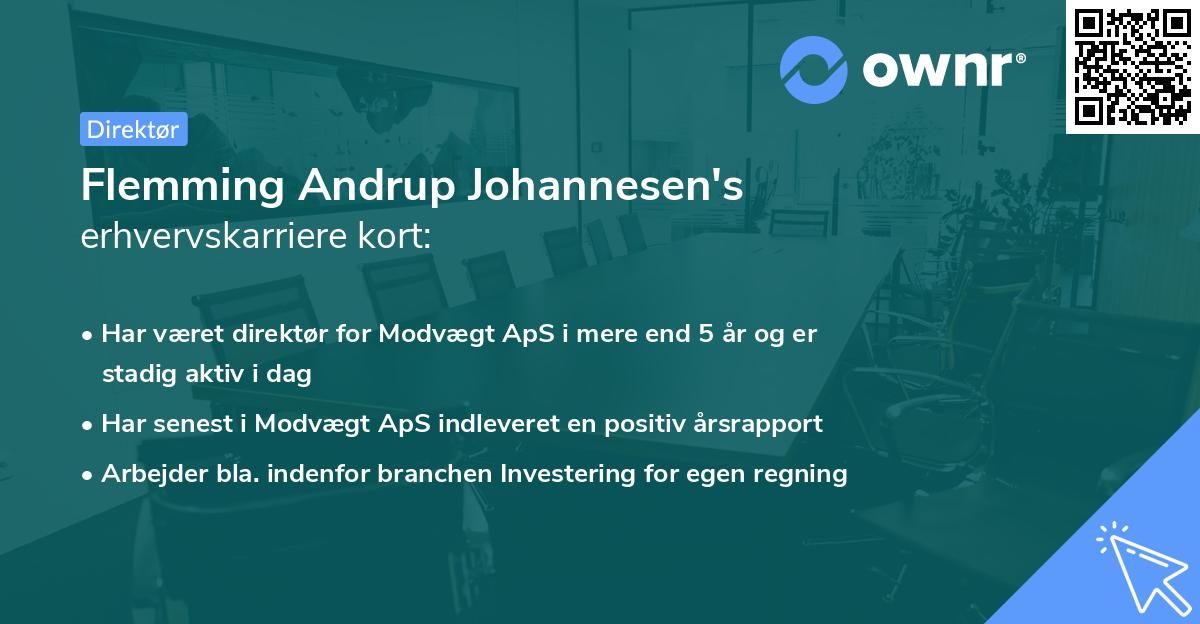 Flemming Andrup Johannesen's erhvervskarriere kort