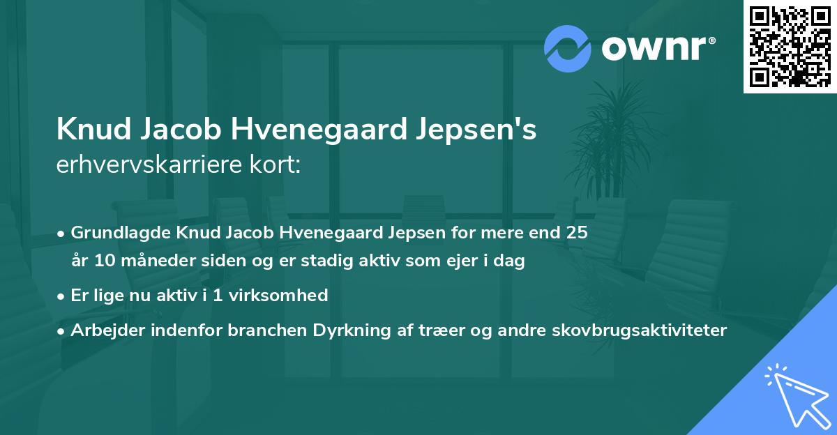 Knud Jacob Hvenegaard Jepsen's erhvervskarriere kort