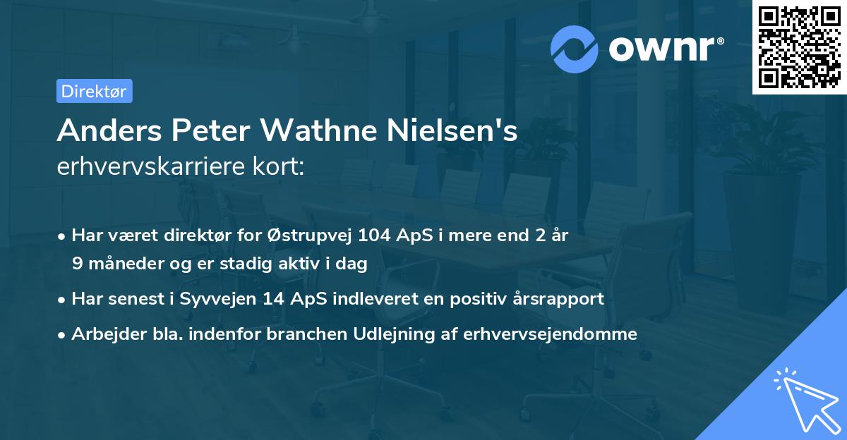 Anders Peter Wathne Nielsen's erhvervskarriere kort
