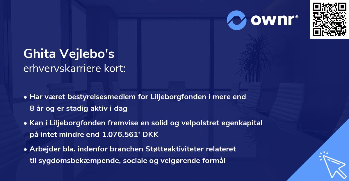 Ghita Vejlebo's erhvervskarriere kort