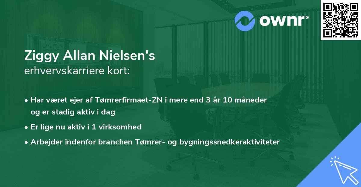 Ziggy Allan Nielsen's erhvervskarriere kort